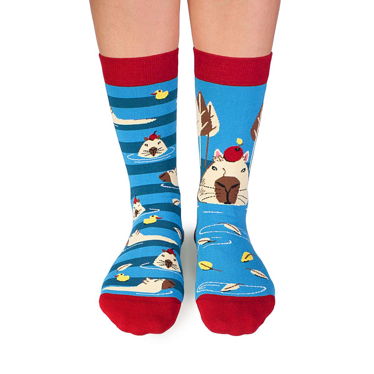 Arty Socks Djordje Kapibara - Tirkizne