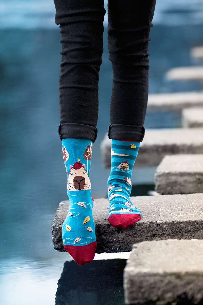 Arty Socks Djordje Kapibara - Tirkizne