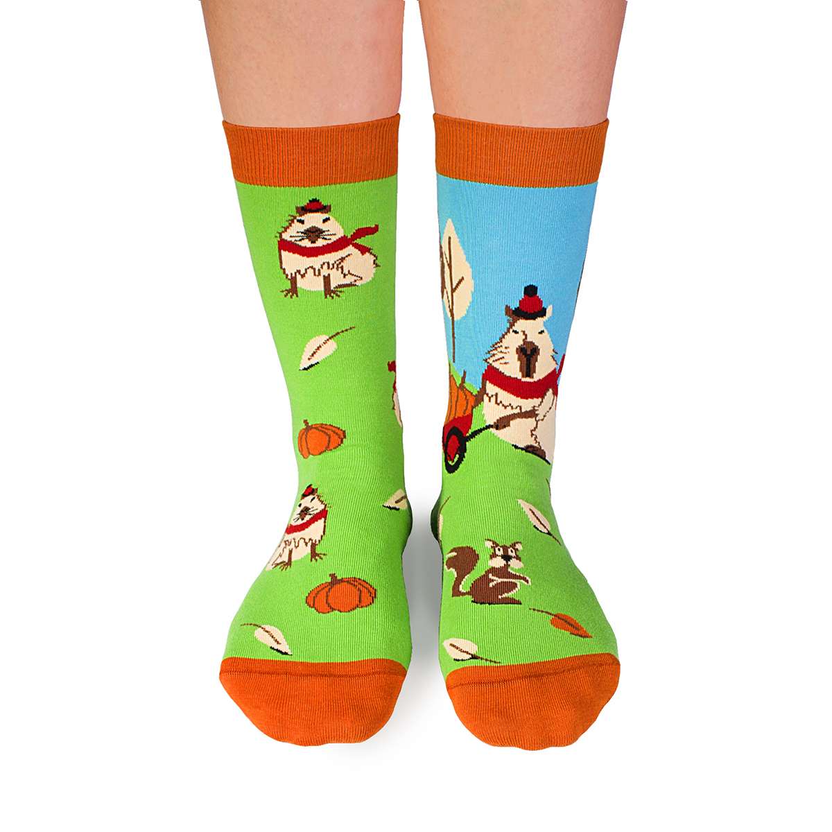 Arty Socks Djordje Kapibara Zelene