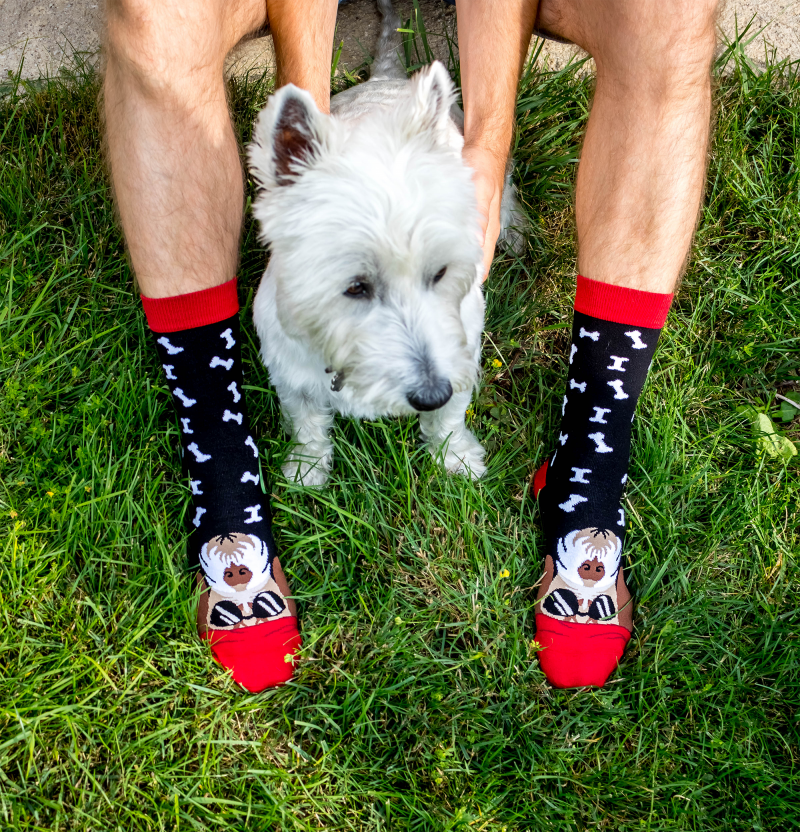 Arty Socks Pas Foks Terijer