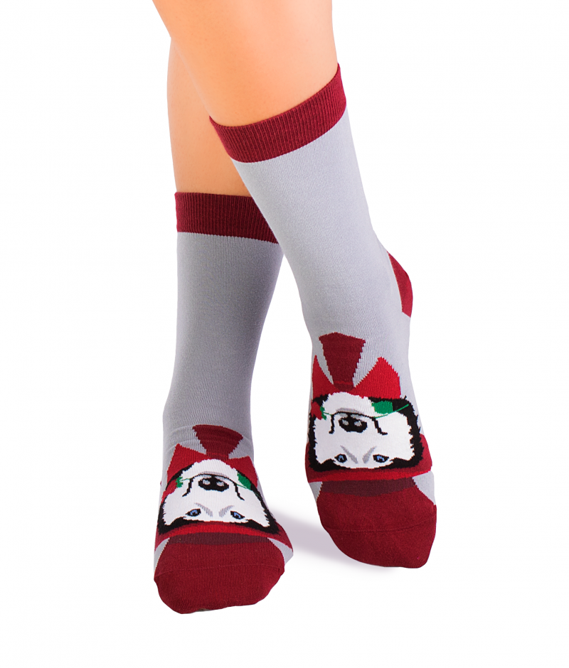 Arty Socks Pas Haski