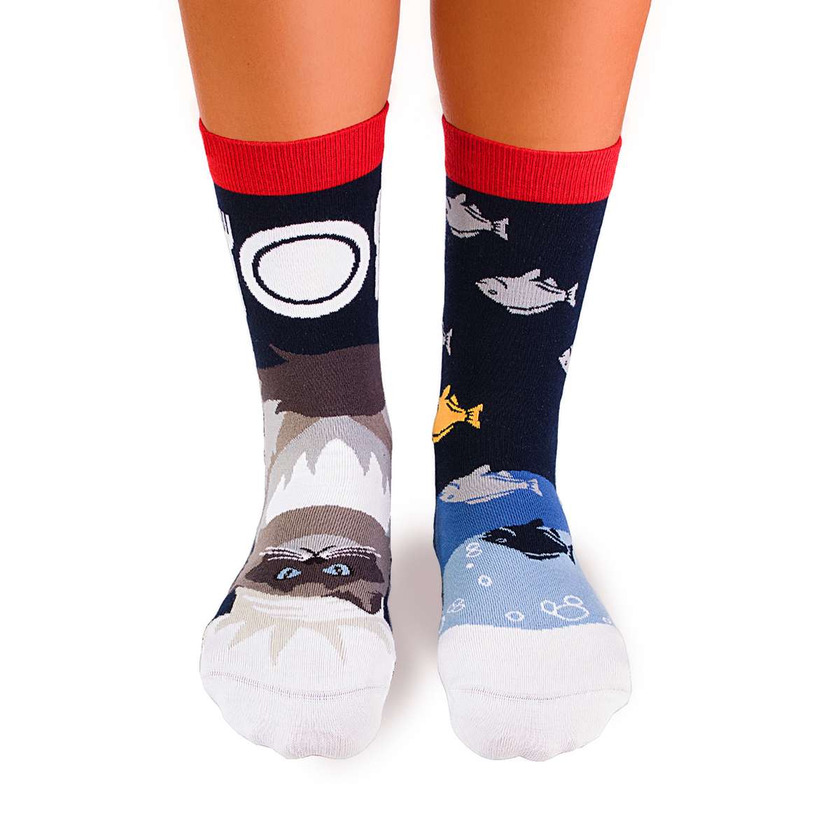 Arty Socks Himalajska Mačka