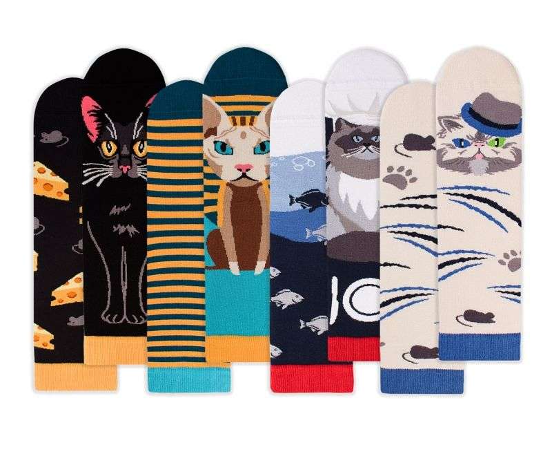 Arty Soks Kutija 4 para CATS