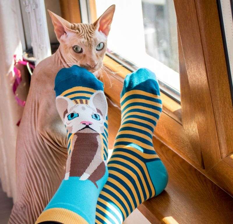 Arty Socks Mačka Sfinks