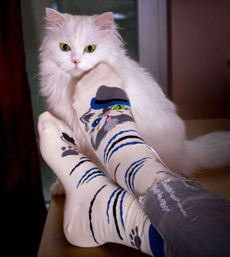 Arty Socks Persijska Mačka