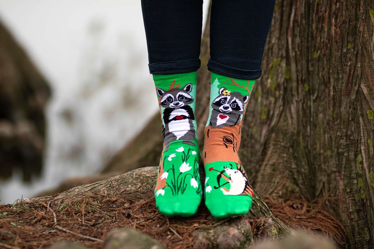 Arty Socks Rakuni Zelene