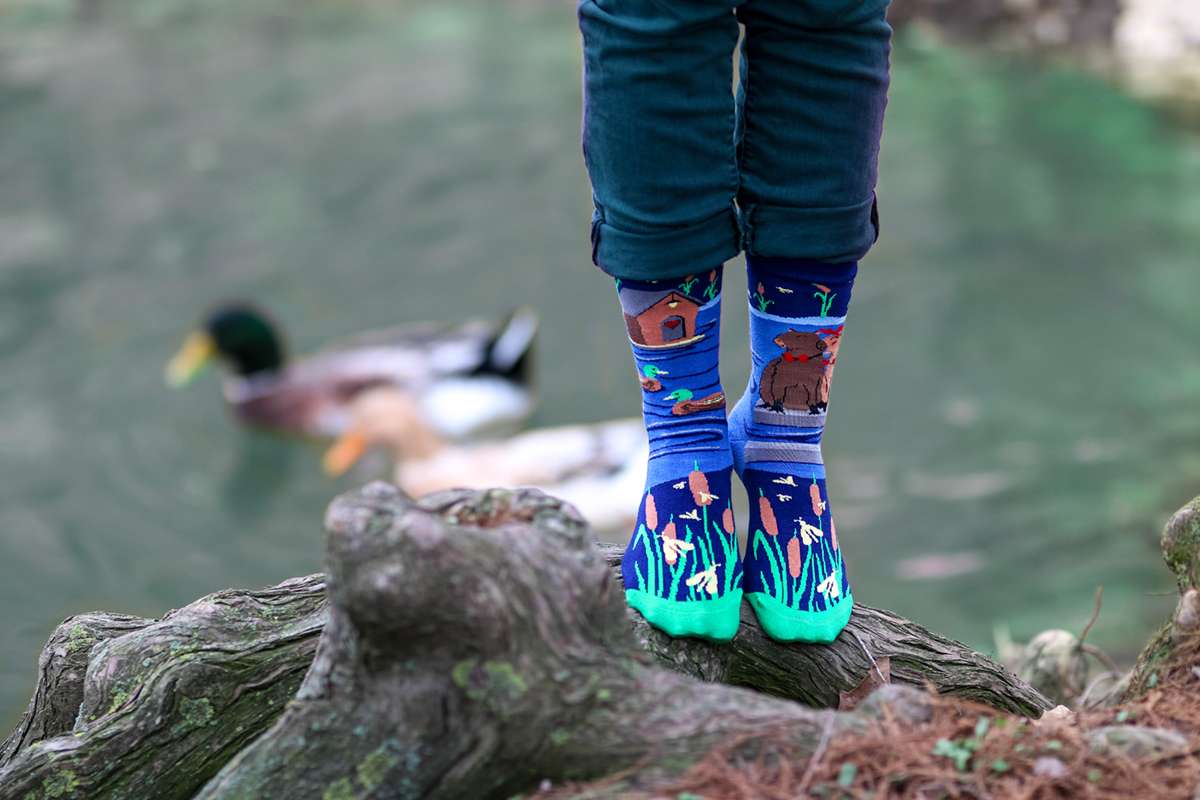 Arty Socks Zaljubljene Kapibare