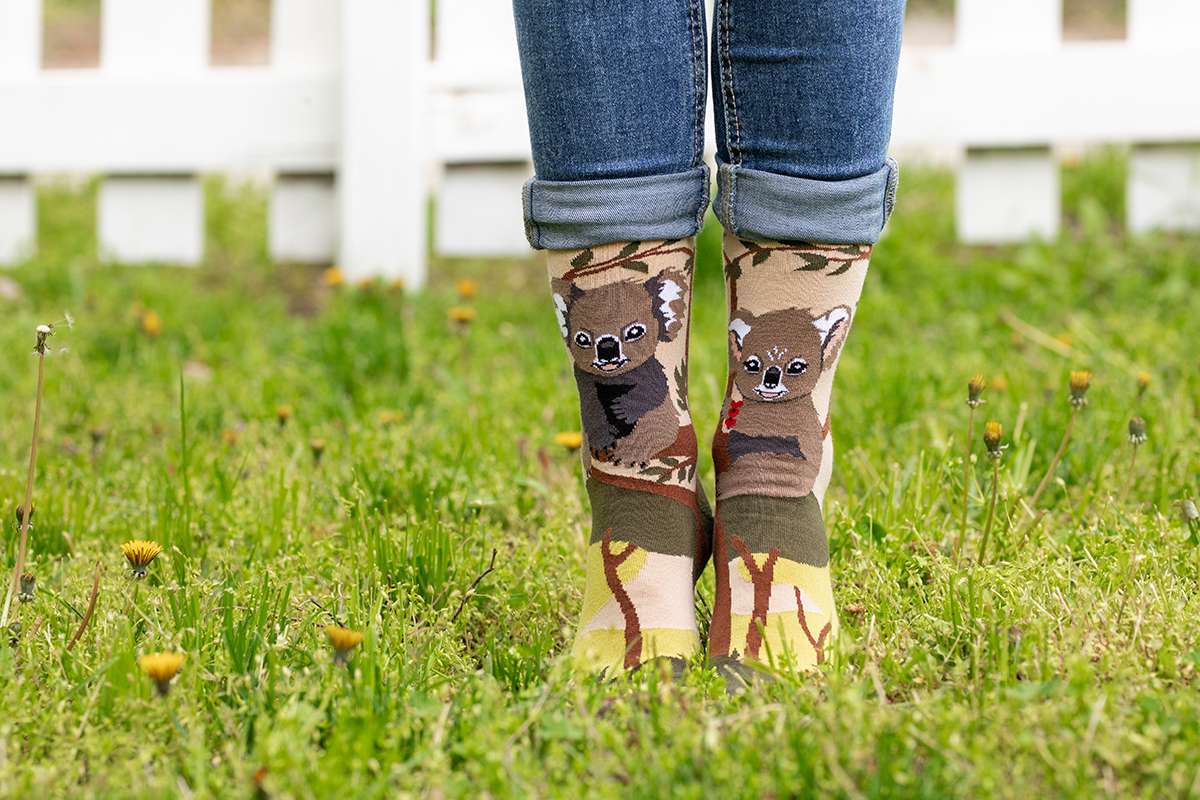 Arty Socks Koale