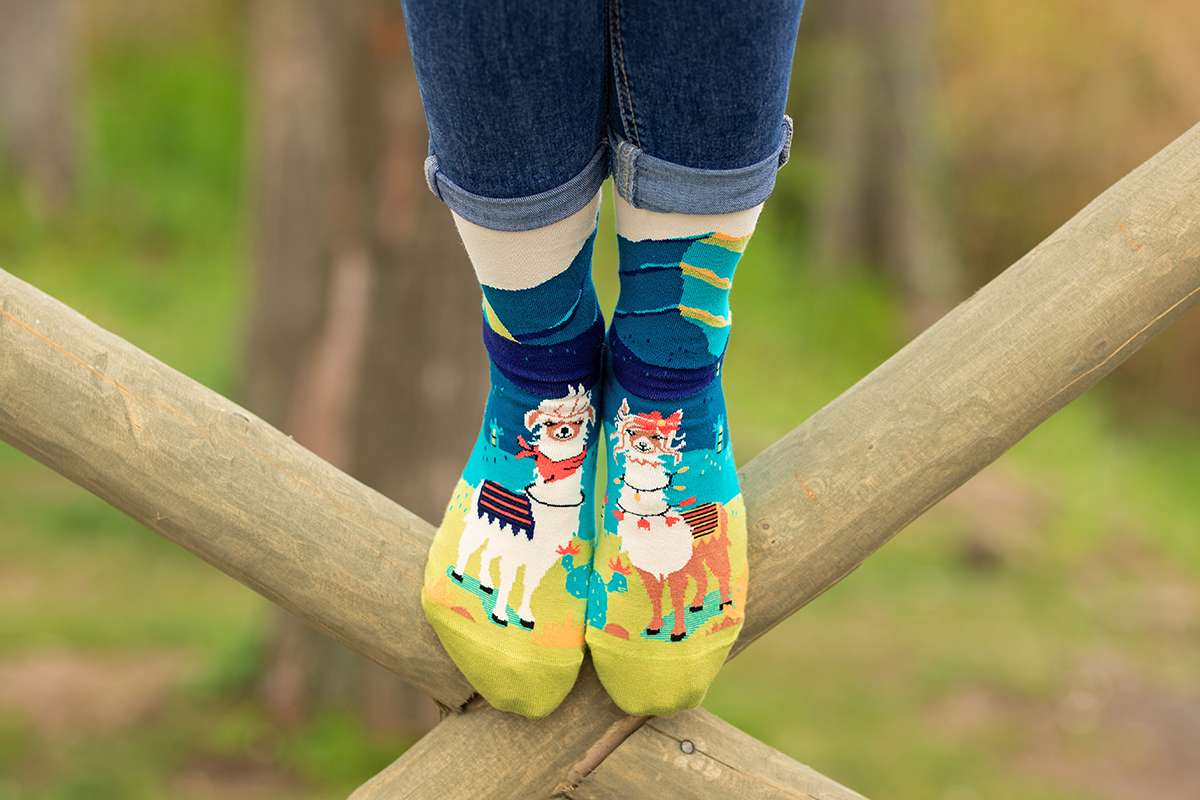 Arty Socks Lame