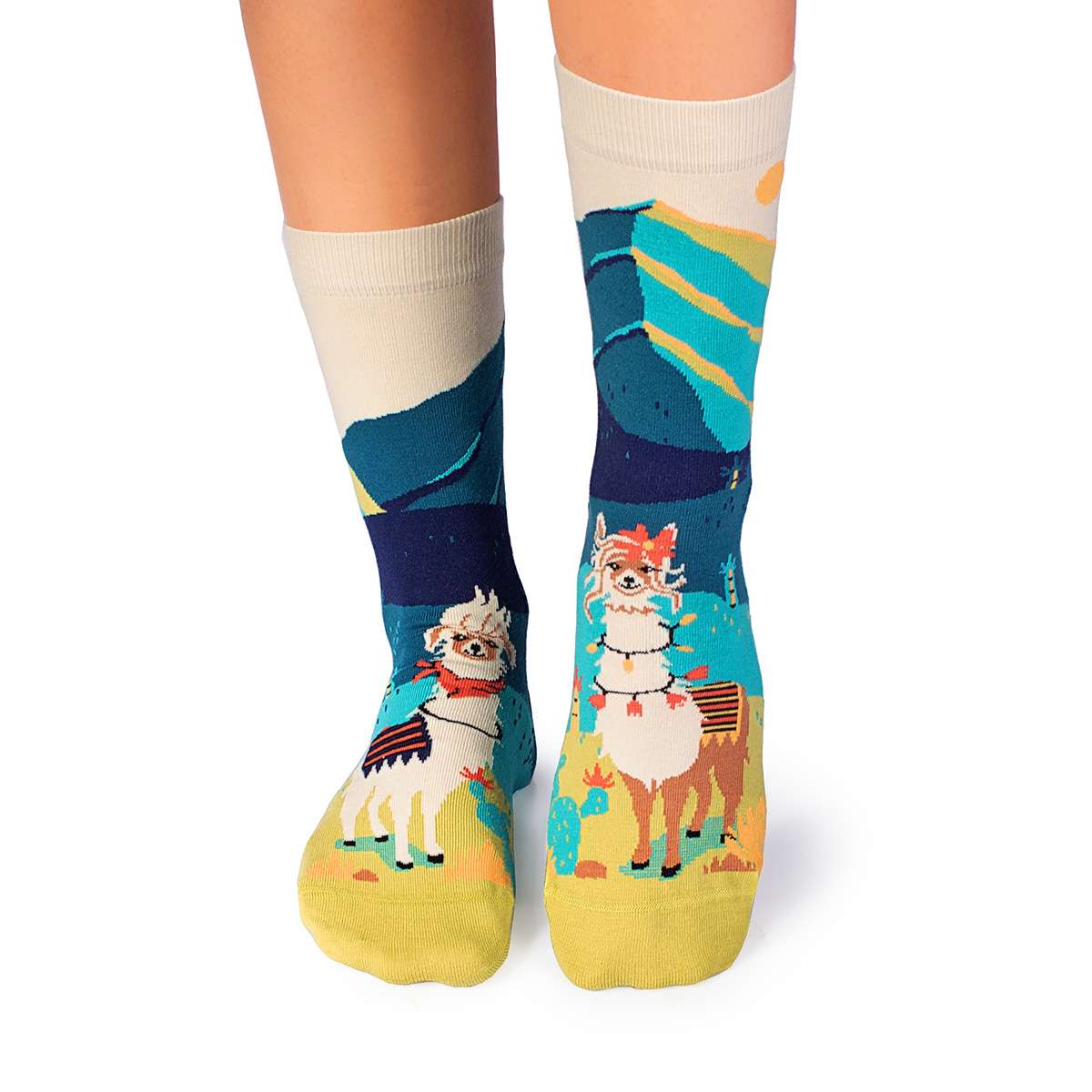 Arty Socks