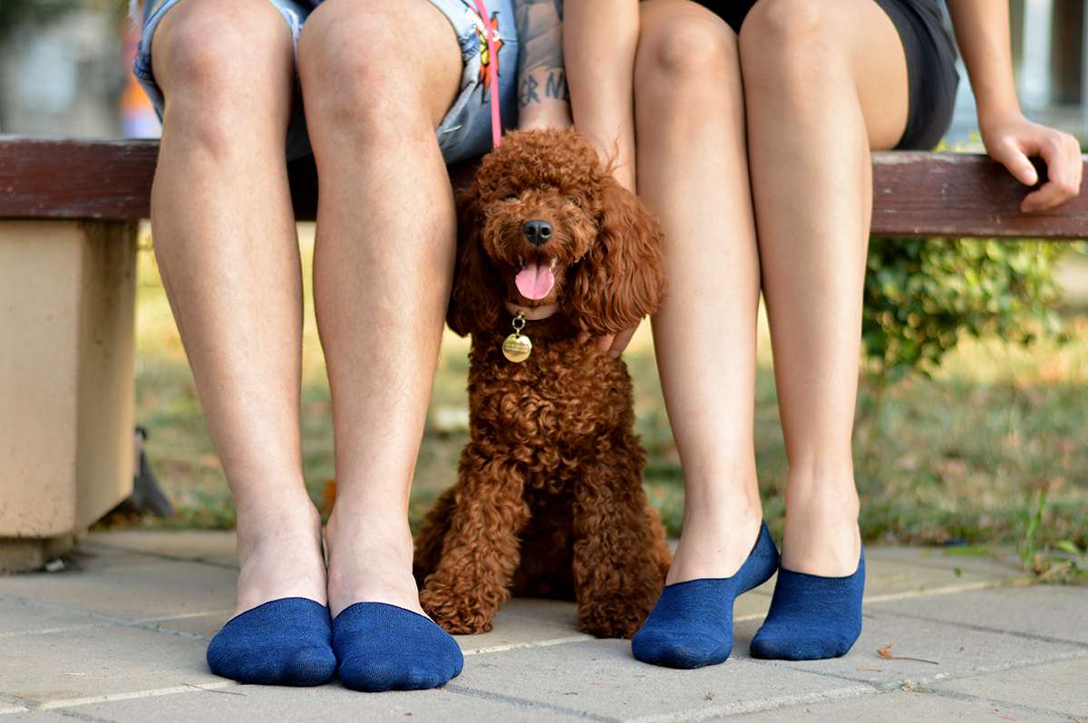 Nevidljive Čarape od Lana i Pamuka