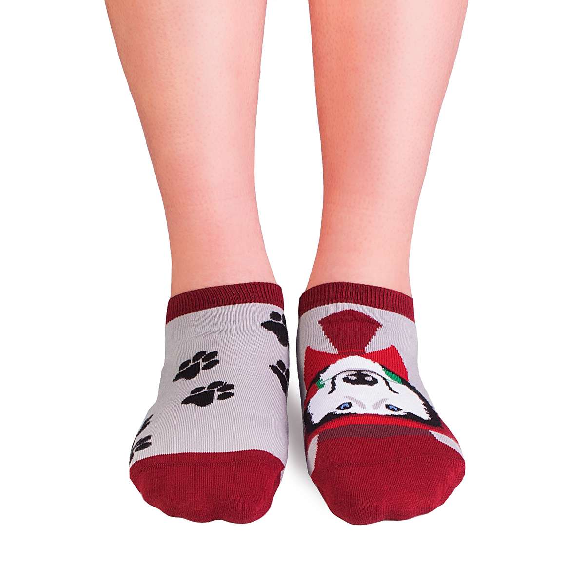 Nazuvice Arty Pas Haski