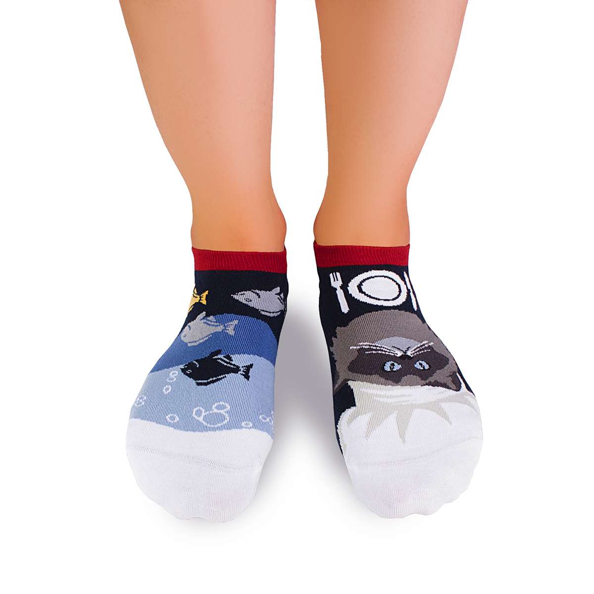 Nazuvice Arty Himalajska Mačka