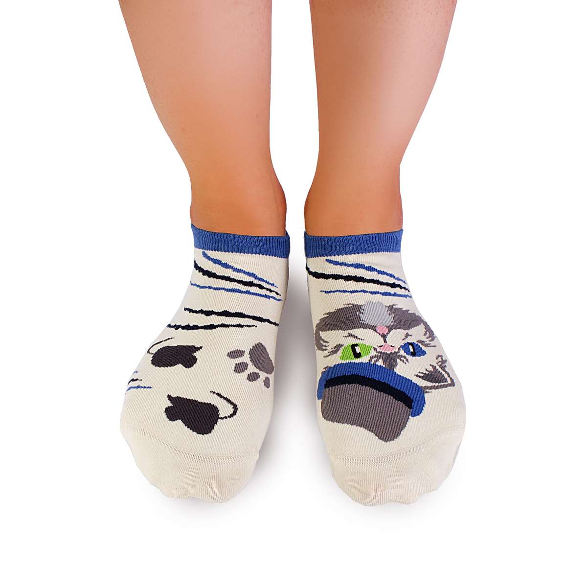 Nazuvice Arty Himalajska Mačka