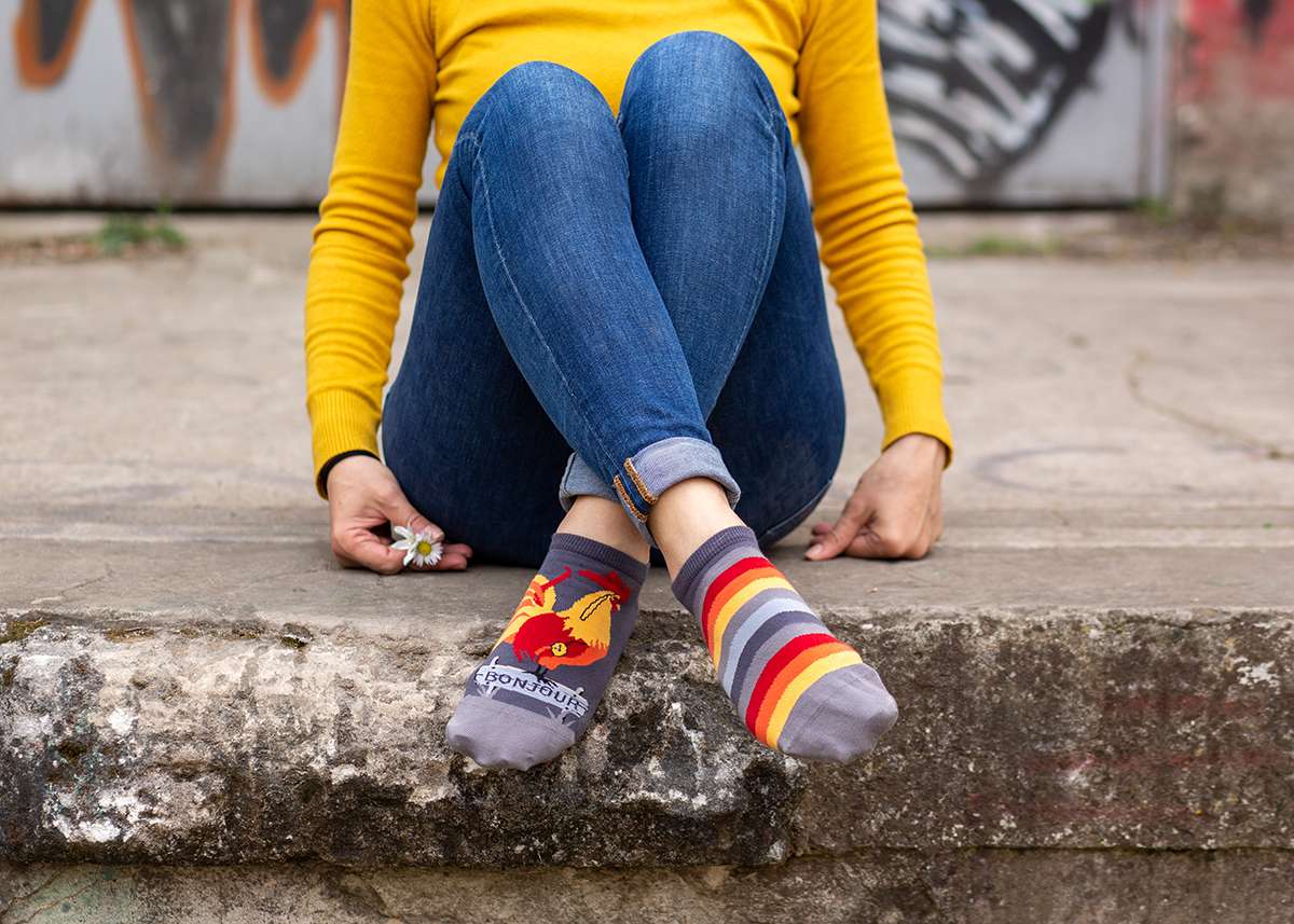 Nazuvice Arty Socks Petao Sive