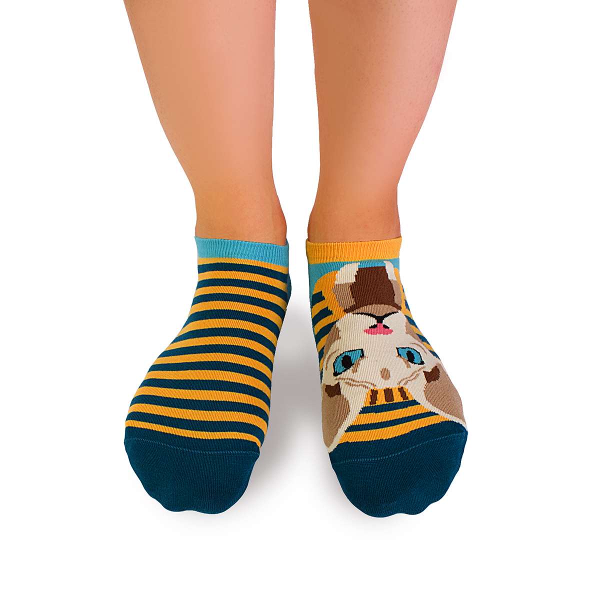 Nazuvice Arty Mačka Sfinks