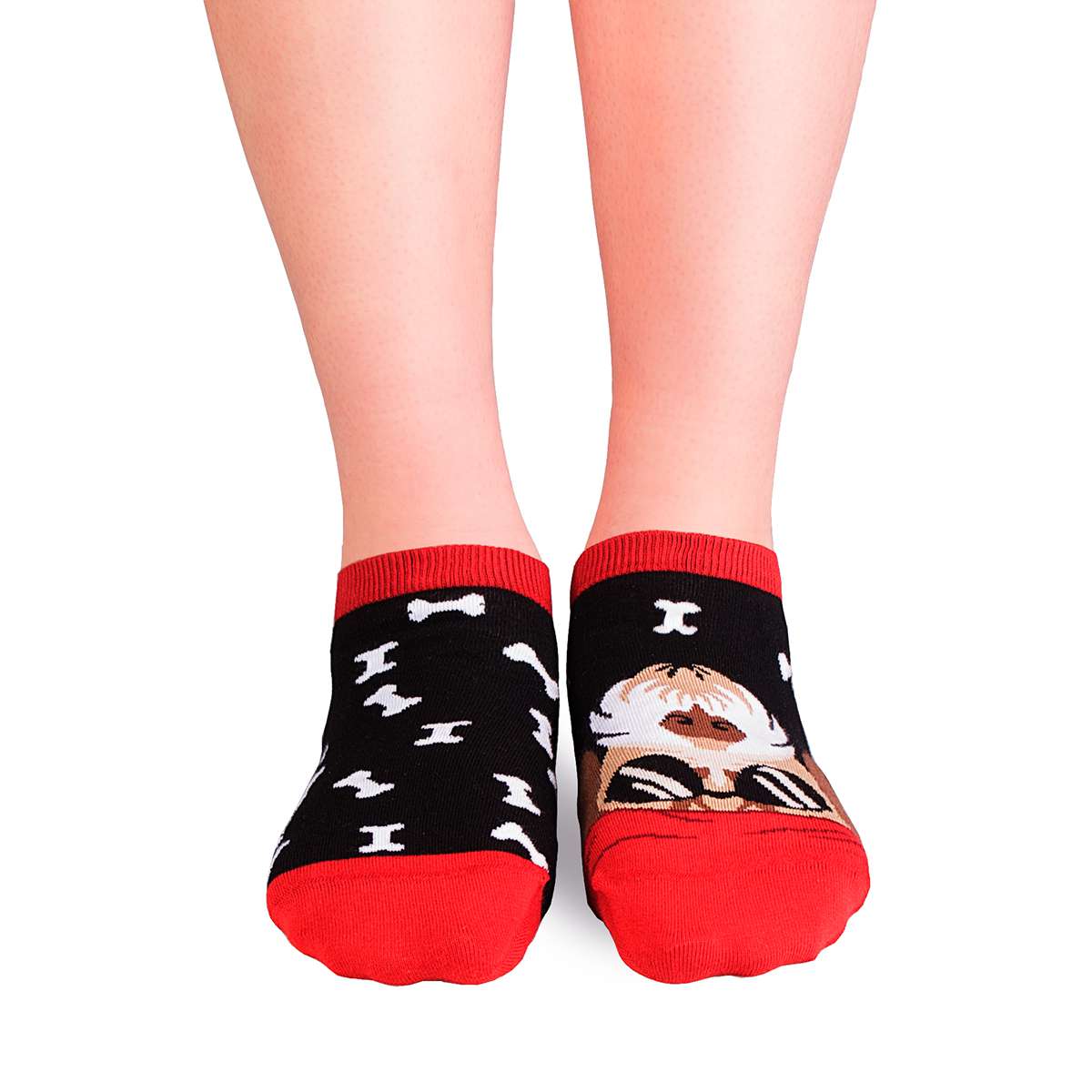 Nazuvice Arty Pas Foks Terijer