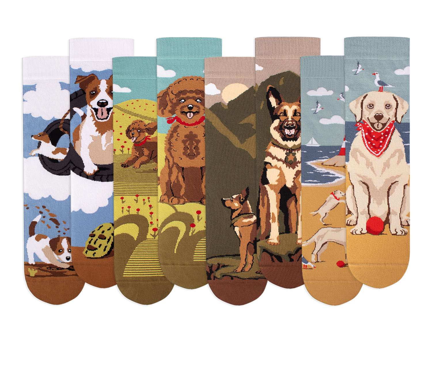 Arty Socks Kutija 4 sa Psima Nove