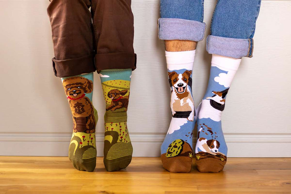 Arty Socks Džek Rasel
