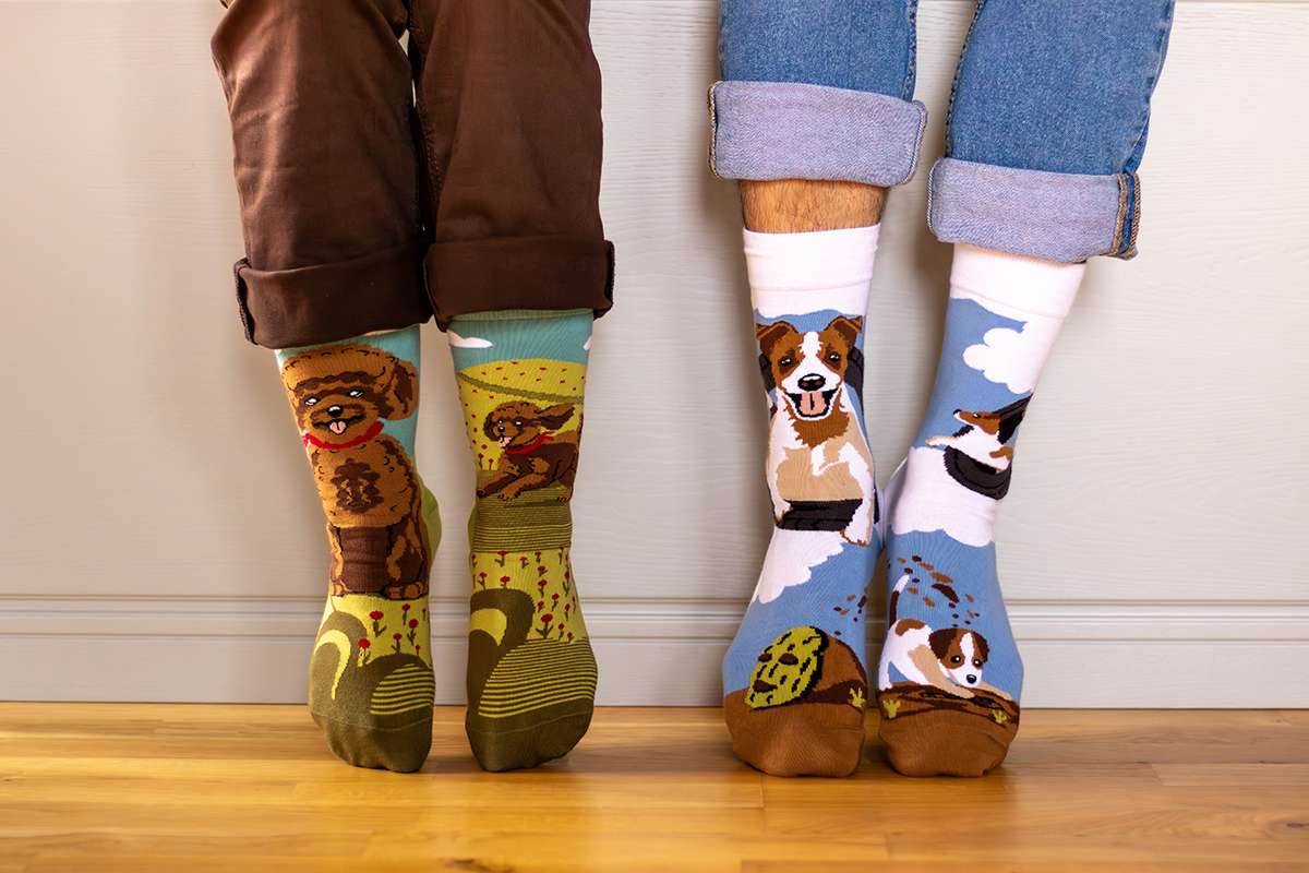 Arty Socks Džek Rasel