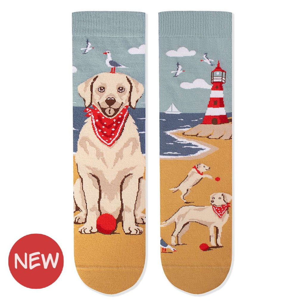 Arty Socks Zlatni Retriver