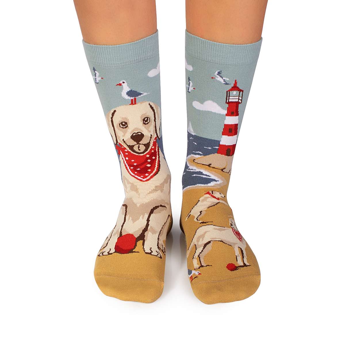 Arty Socks Zlatni Retriver