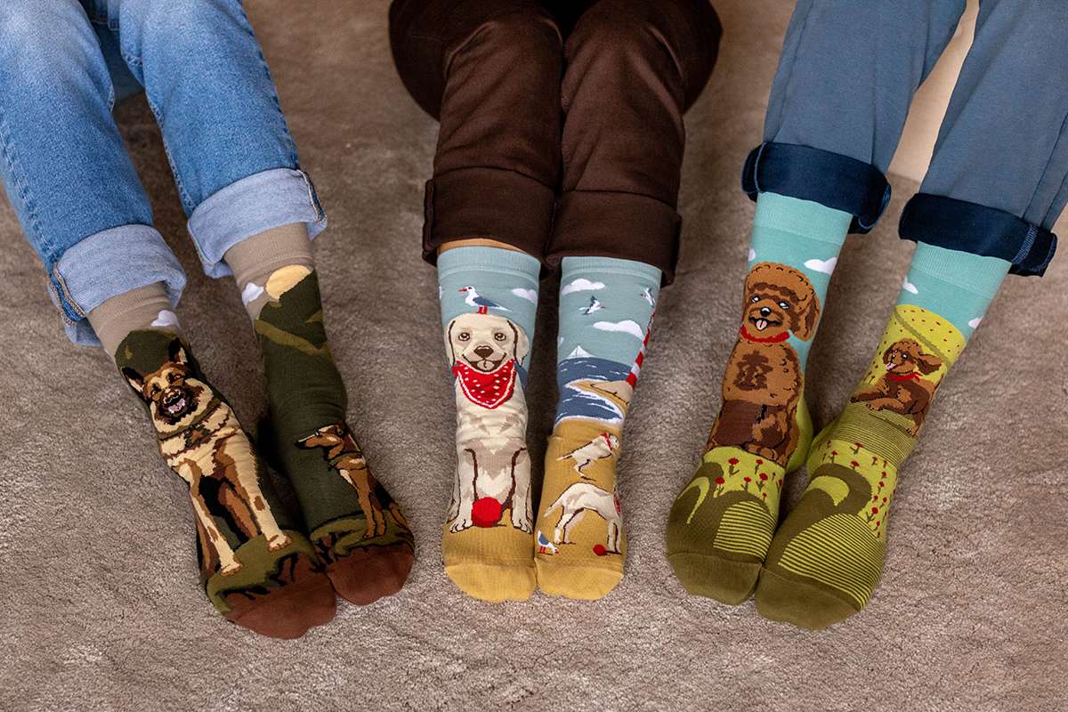 Arty Socks Zlatni Retriver