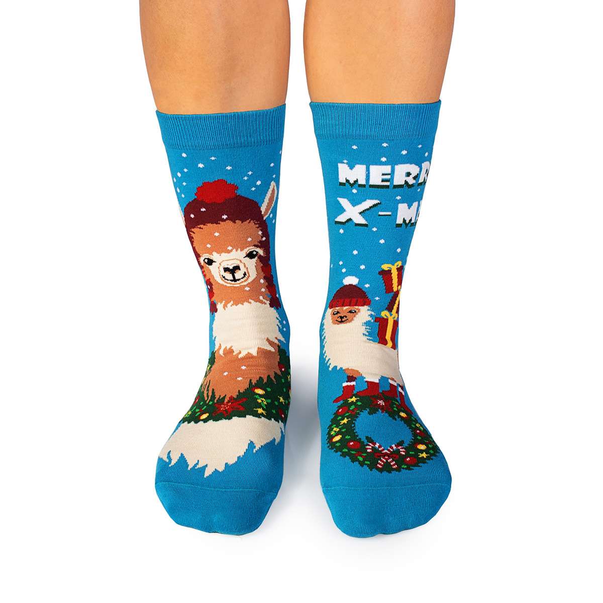 NG Arty Socks Bozić Lama