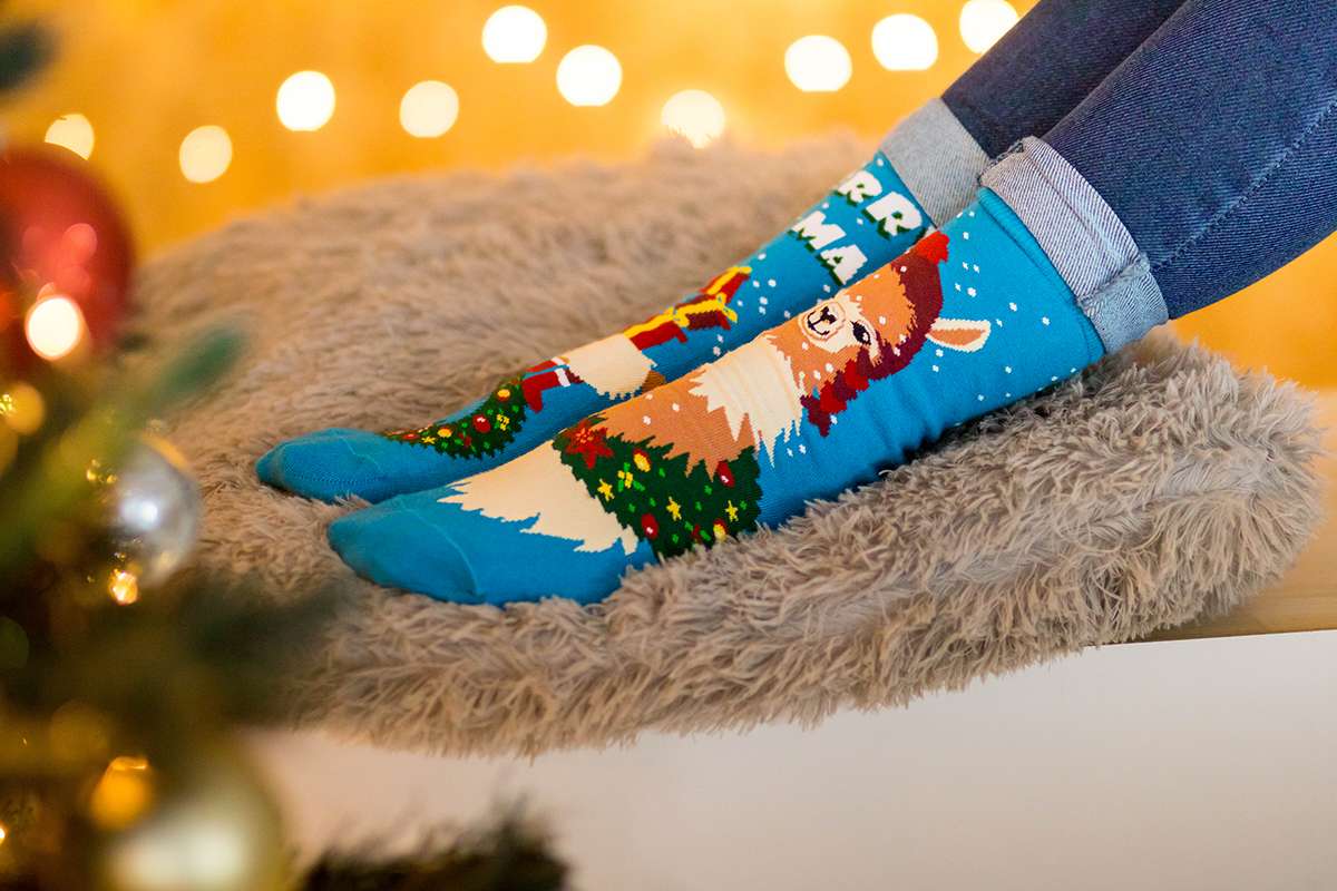 NG Arty Socks Bozić Lama