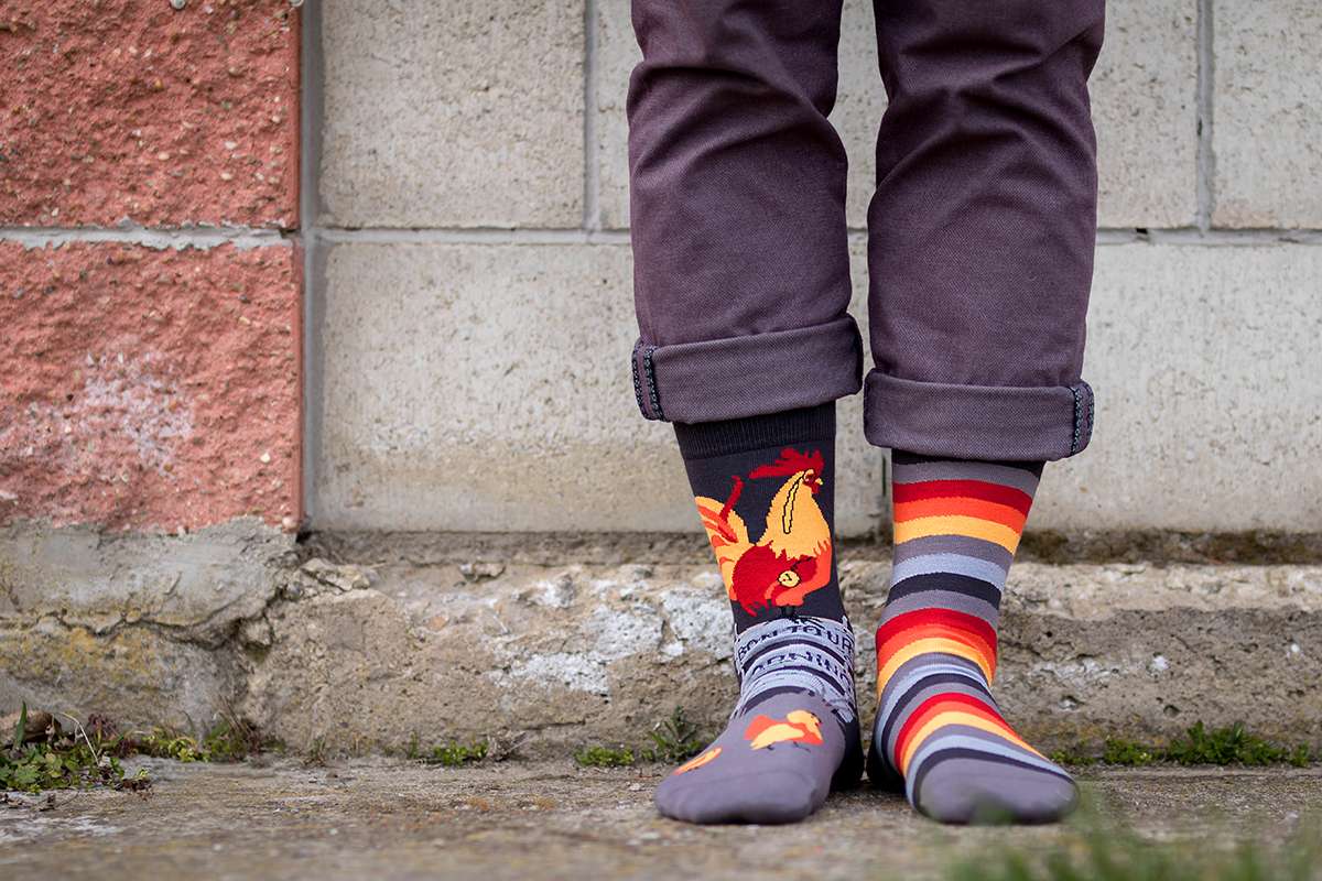 Arty Socks Petao Sive