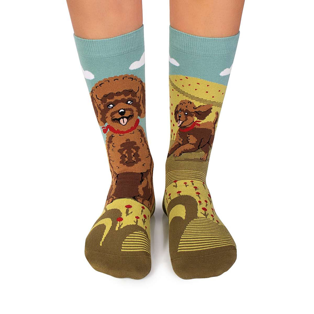 Arty Socks Pudla