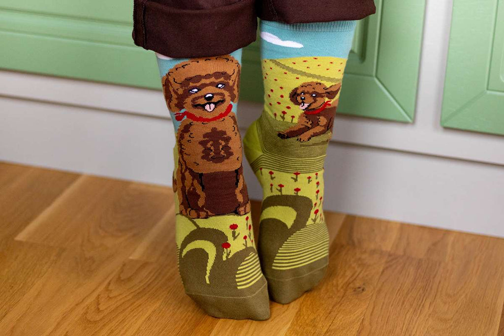 Arty Socks Pudla