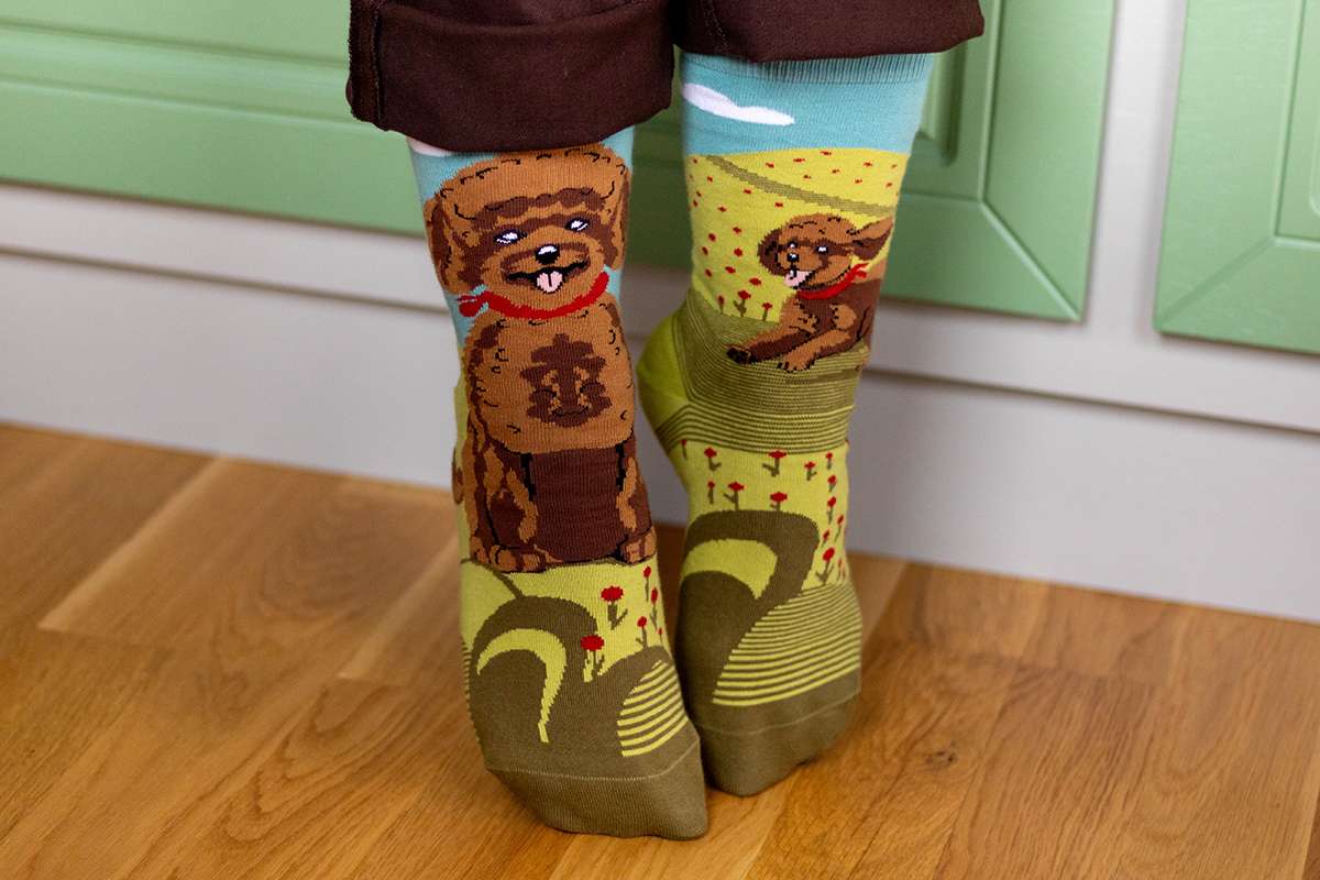 Arty Socks Pudla