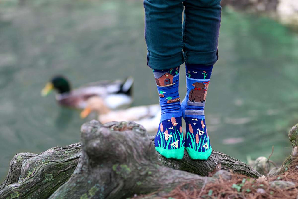 Arty Socks Zaljubljene Kapibare