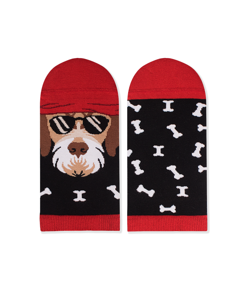 Nazuvice Arty Pas Foks Terijer