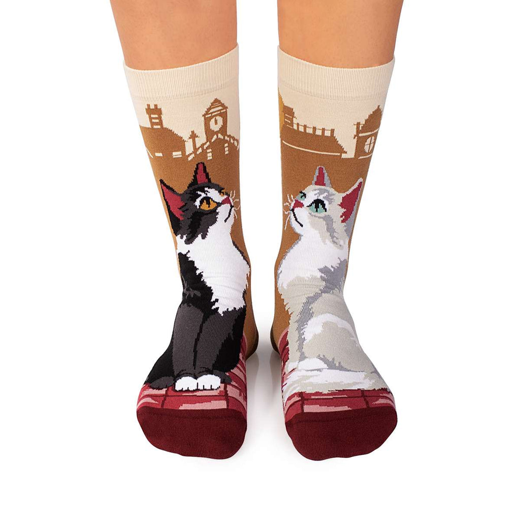 Arty Socks Gradske Mačke