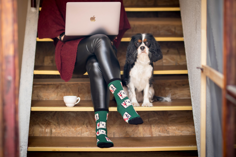 Pamučne Čarape Rock Karte Zelene