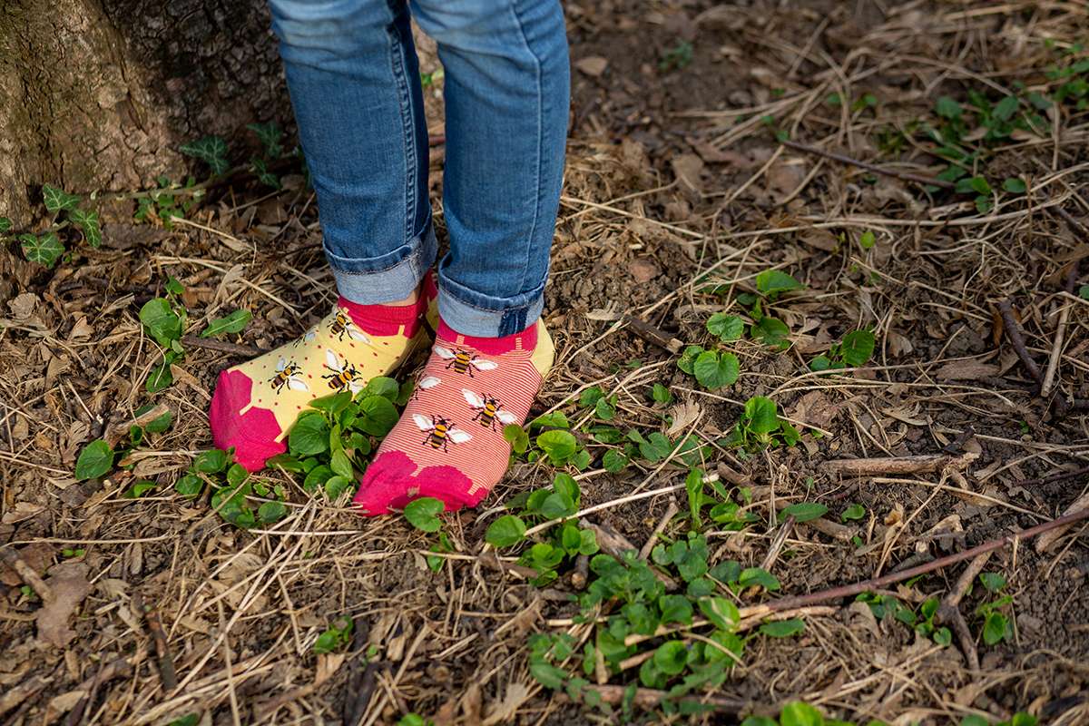 Nazuvice od Finog Bambusa Pčele Žute