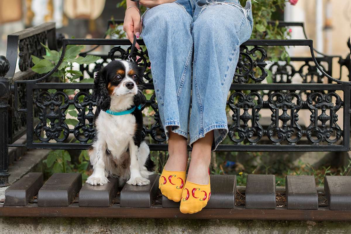 Nevidljive Pamučne Čarape Ljute Paprićice