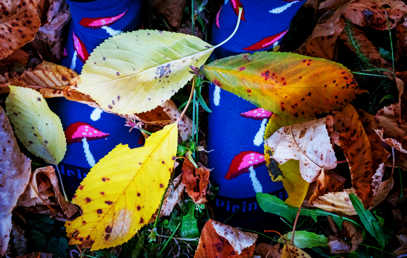 Pamučne Čarape Pečurke